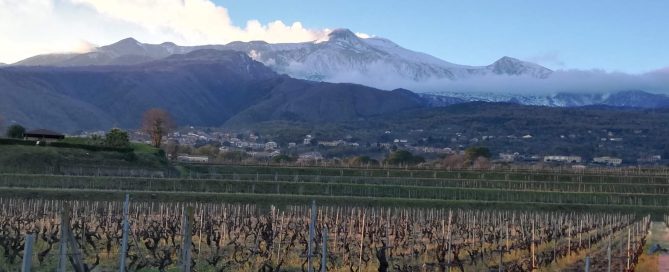 cantine etna