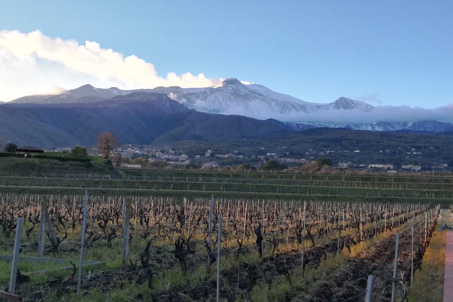 cantine etna