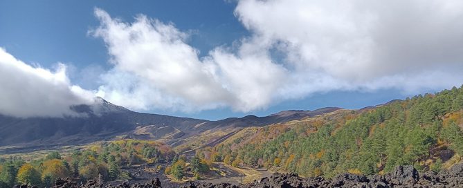 foliage etna