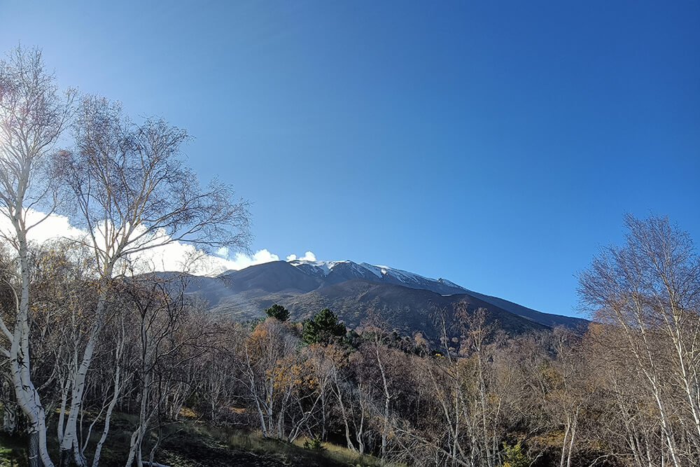 betulle di linguaglossa