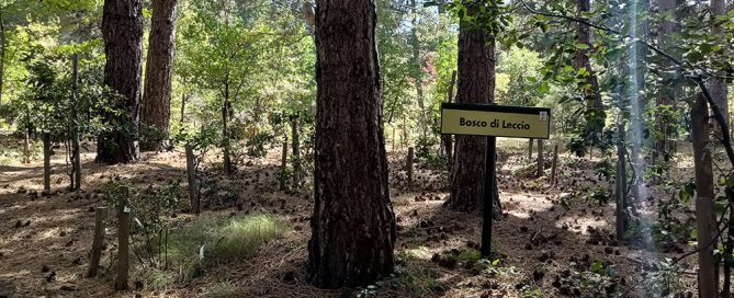 giardino botanico nuova gussonea
